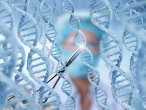 CRISPR و معکوس کردن روند پیری